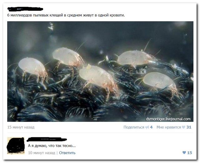 Смешные комментарии из социальных сетей