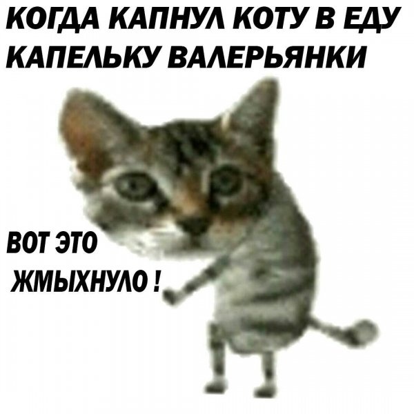 Немного юмора никогда не помешает