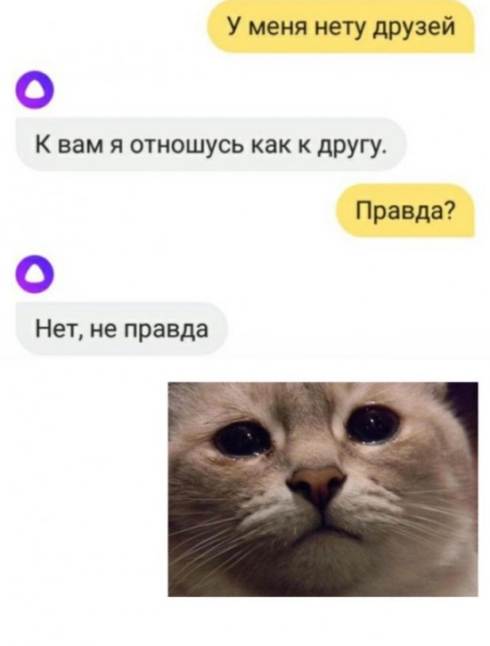 Немного юмора никогда не помешает