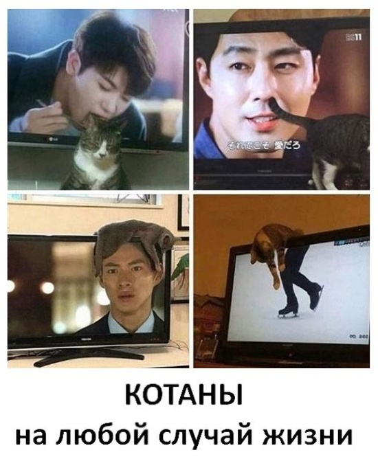 Странный юмор без смысловой нагрузки