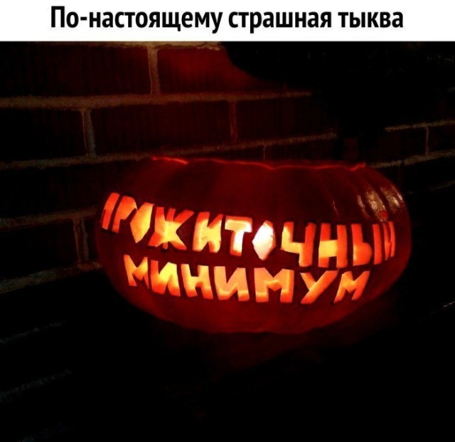 С иронией и сарказмом по жизни