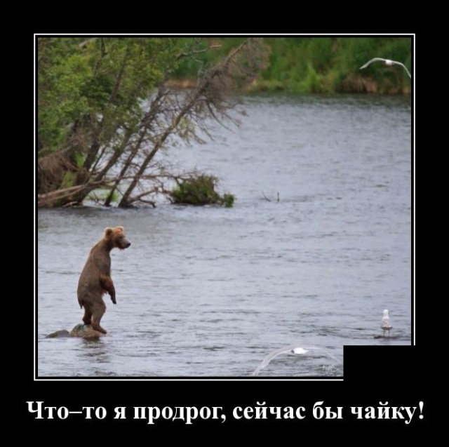 Демотиваторы