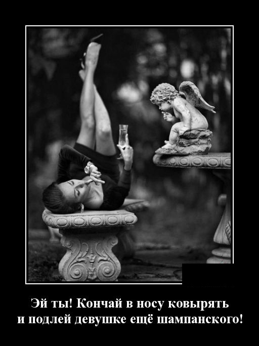 Демотиваторы