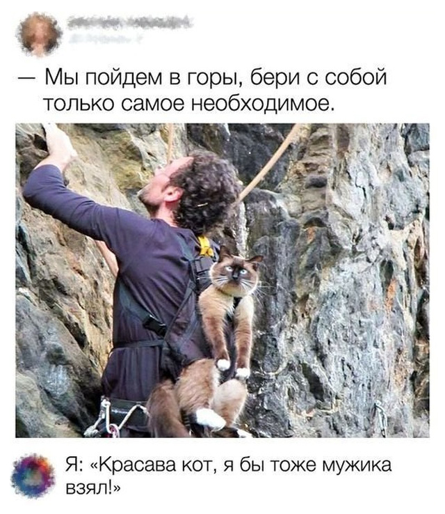 Юмор и комментарии из социальных сетей