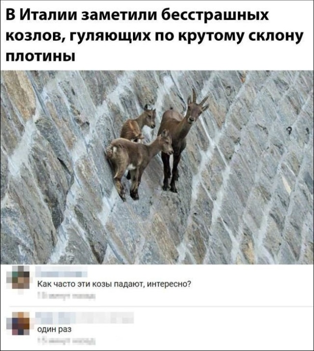 Юмор и комментарии из социальных сетей