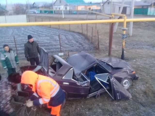 Водитель из Татарстана пожертвовал своим авто, чтобы спасти котика