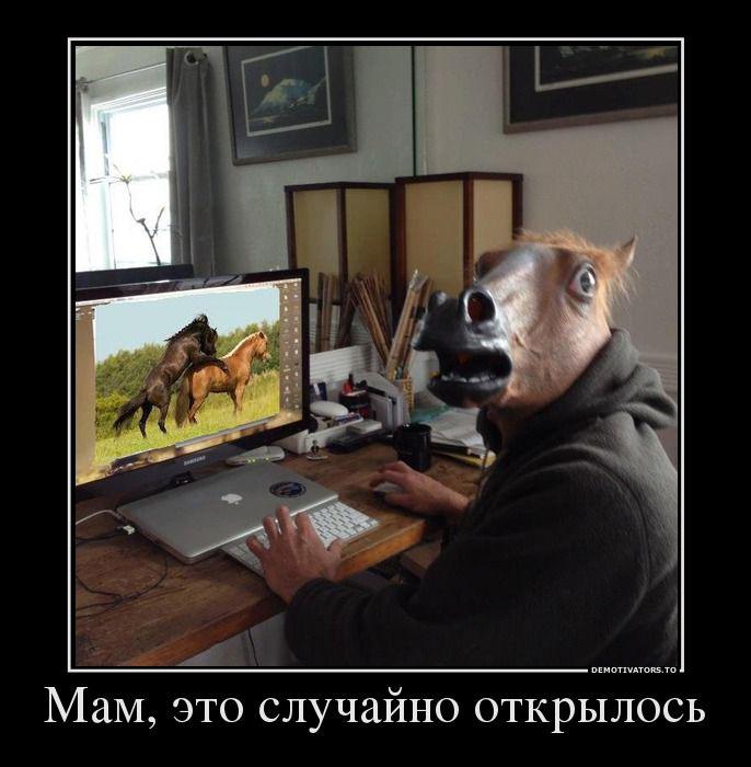 Демотиваторы