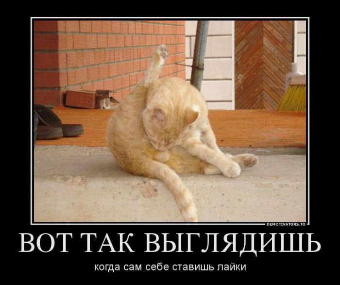 Демотиваторы