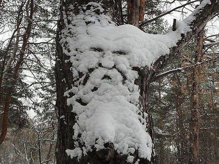 Прикольные картинки