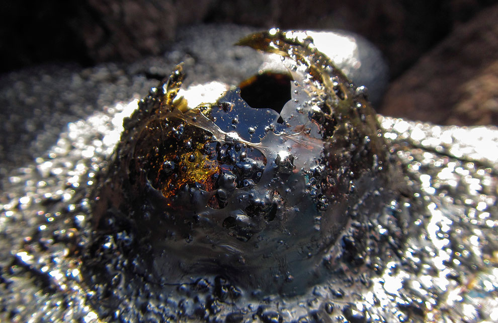 Извержения вулканов 2013 Извержения вулканов 2013