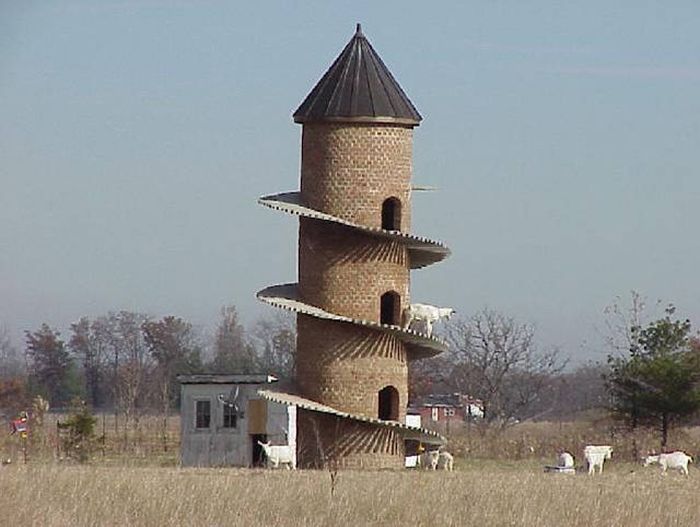 Порция картинок
