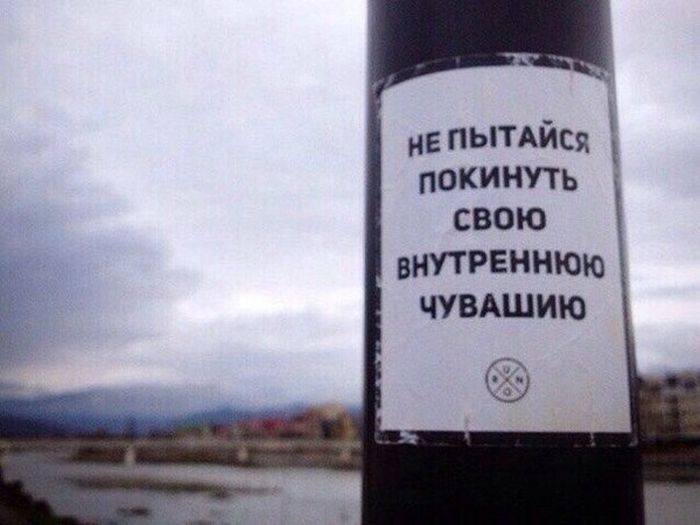 Порция картинок