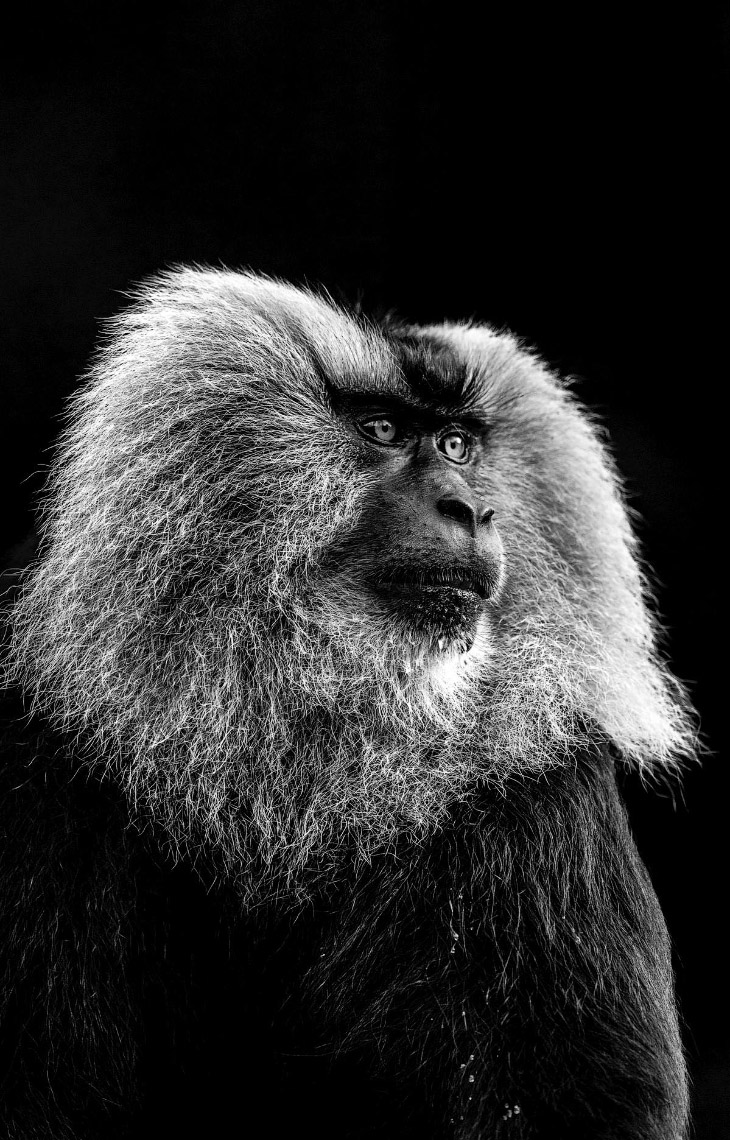 Фотографии участников ежегодного конкурса Sony World Photography Awards 2018 Фотографии участников ежегодного конкурса Sony World Photography Awards 2018