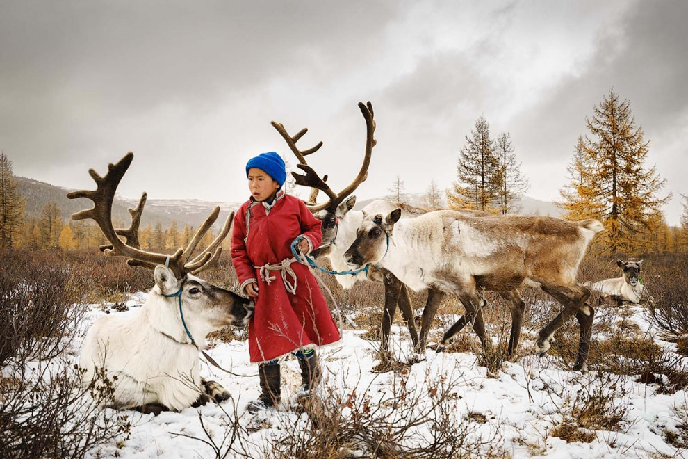 Фотографии участников ежегодного конкурса Sony World Photography Awards 2018 Фотографии участников ежегодного конкурса Sony World Photography Awards 2018