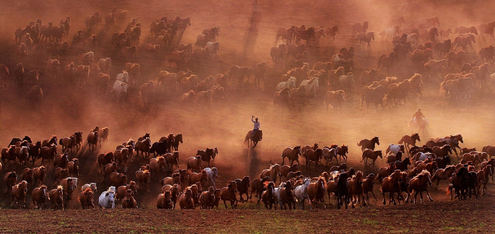 Фотографии участников ежегодного конкурса Sony World Photography Awards 2018 Фотографии участников ежегодного конкурса Sony World Photography Awards 2018