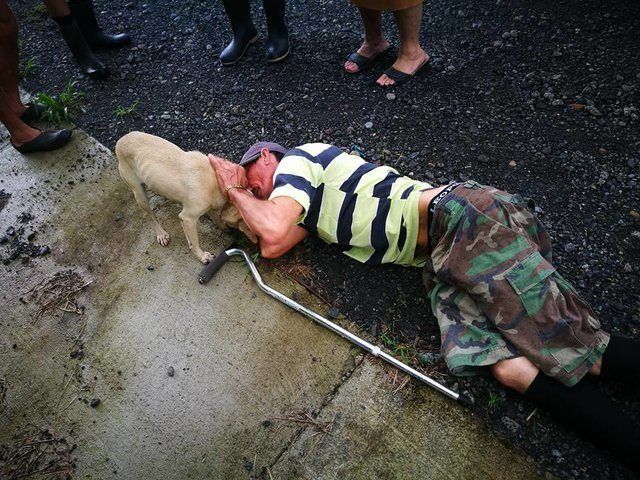 В Коста-Рике собака спасла жизнь своему хозяину