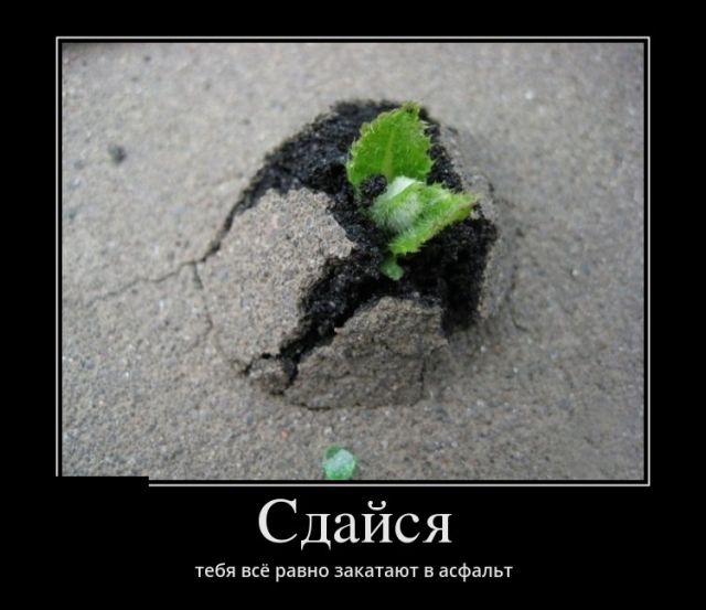 Демотиваторы
