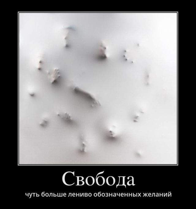 Демотиваторы