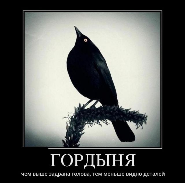 Демотиваторы