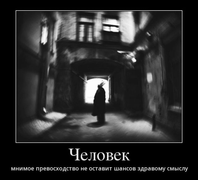 Демотиваторы
