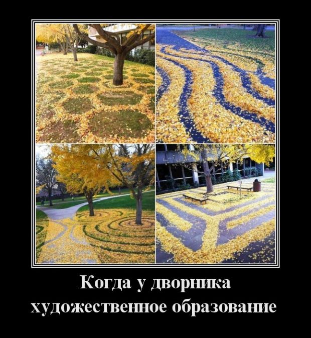 Демотиваторы