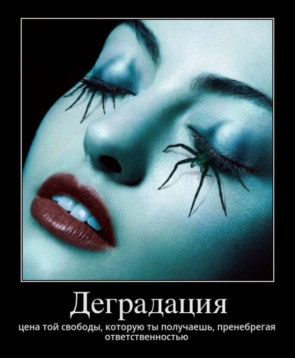 Демотиваторы
