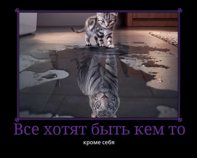 Демотиваторы