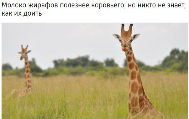 Самые запоминающиеся новостные заголовки 2017 года