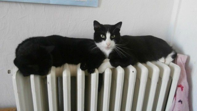 Фото, на которых не все так просто, как может показаться