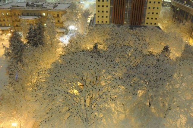 Фото, на которых не все так просто, как может показаться