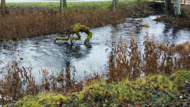 Фото, на которых не все так просто, как может показаться