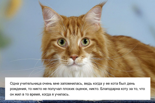 Истории об учителях, которые выбрали креативный подход к обучению