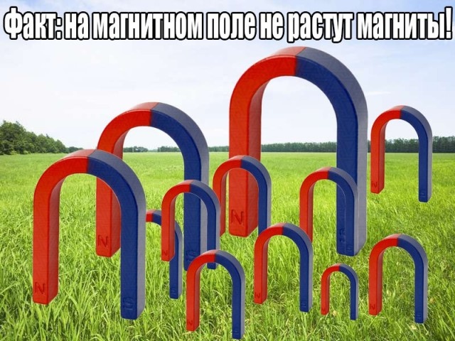 Околонаучный и умный юмор с просторов сети