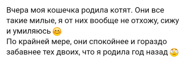 Жизненные истории с форумов и социальных сетей