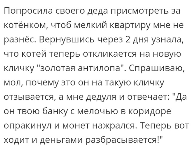 Жизненные истории с форумов и социальных сетей