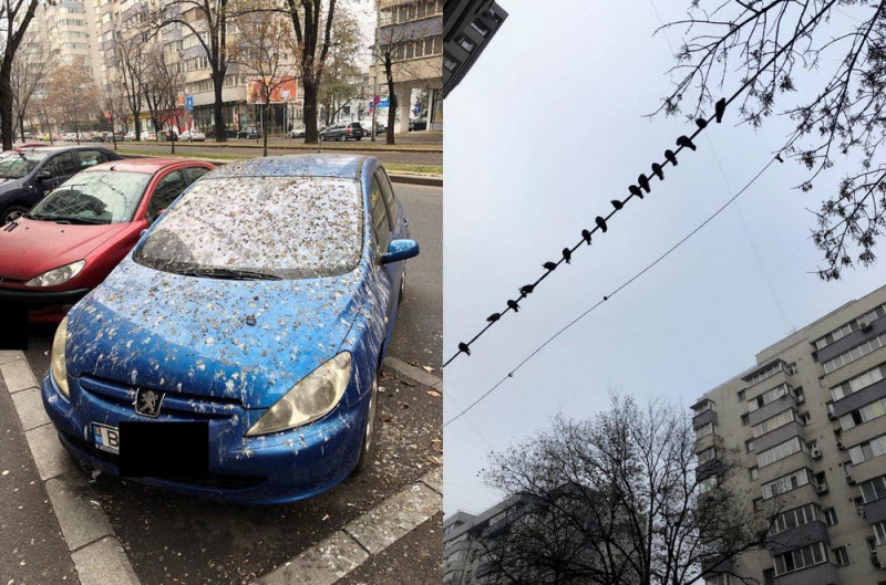 Бывают в жизни огорчения..