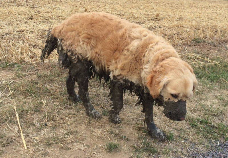 Бывают в жизни огорчения..