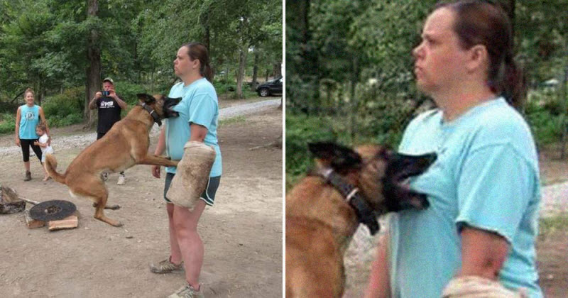 Бывают в жизни огорчения..