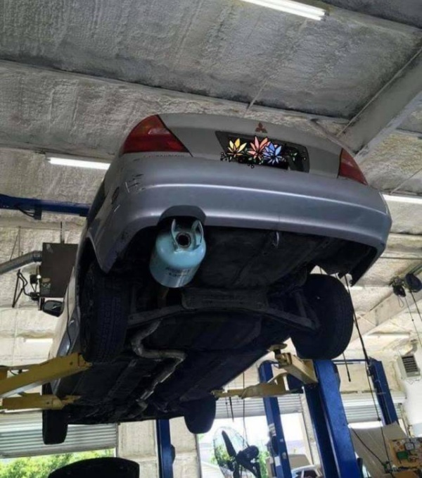 Прикольные картинки