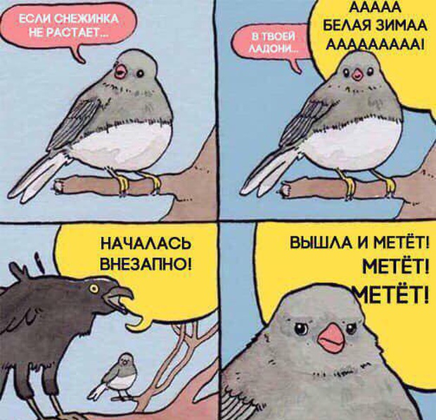 Прикольные картинки