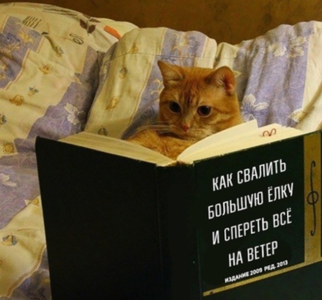 Прикольные картинки