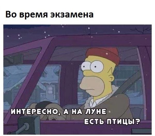 Порция картинок
