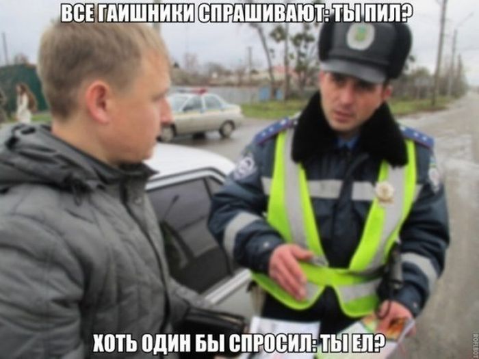 Порция картинок