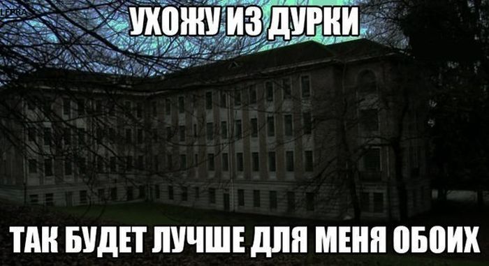 Порция картинок