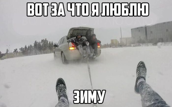 Порция картинок