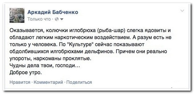 Смешные комментарии из социальных сетей