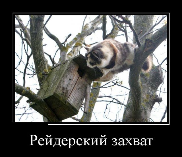 Демотиваторы