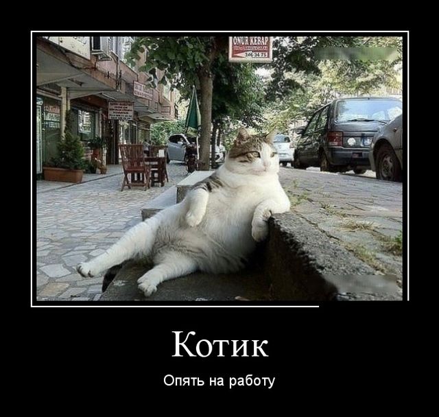 Демотиваторы