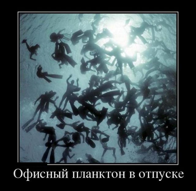 Демотиваторы