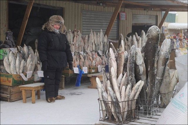 Удивительные и забавные фото с просторов России